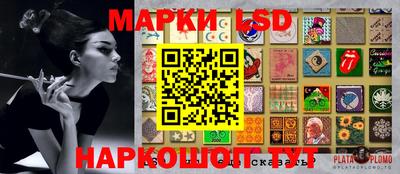 твердый Камышлов