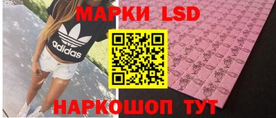 твердый Камышлов