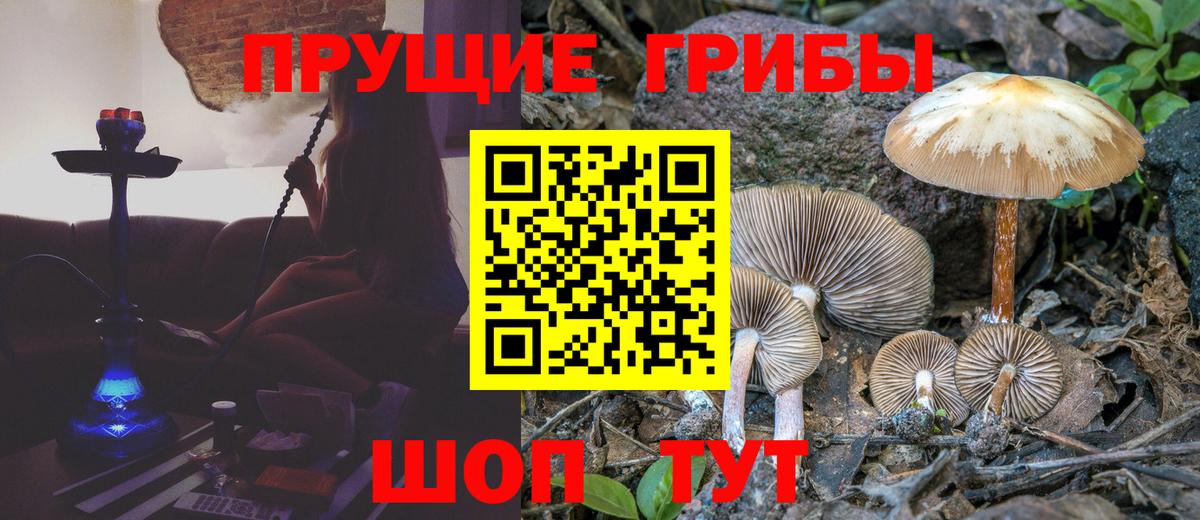 Петропавловск-Камчатский  Галлюциногенные грибы ЛСД  Вход с VPN  купить наркотик  Псилоцибиновые грибы мицелий 