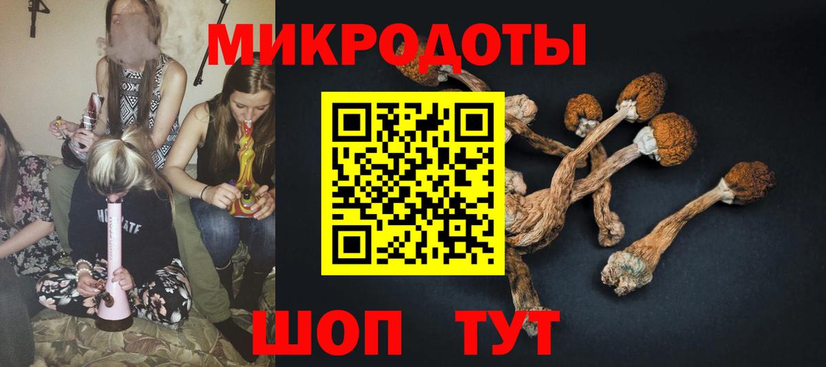 даркнет сайт  Петропавловск-Камчатский  Псилоцибиновые грибы Psilocybe  Псилоцибиновые грибы Cubensis 